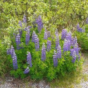 Meet your Posher, Mary jo